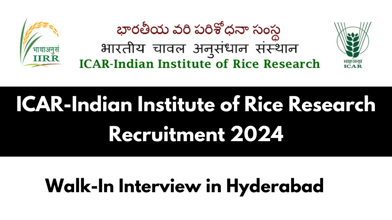 Indian Institute of Rice Research Recruitment 2024